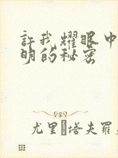 许我耀眼中沈皓明的秘密