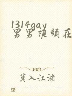 1314gay男男视频在线观看