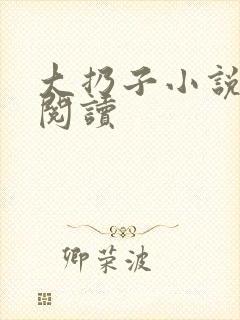 大扔子小说在线阅读