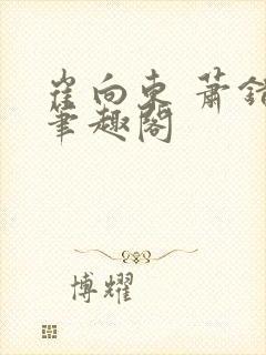 崔向东 萧错 笔趣阁封面
