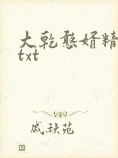 大乾憨婿精校版txt