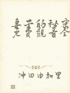妻子的秘密日剧免费观看全集