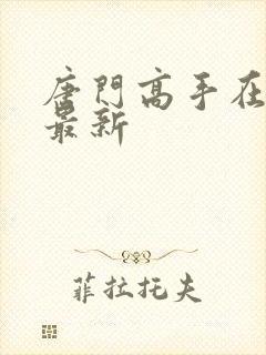 唐门高手在异世最新