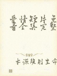 爱情短片免费观看全集完整版高清