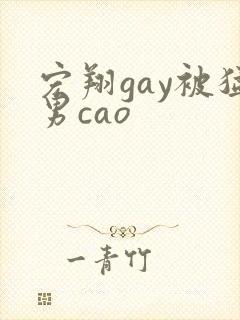 宏翔gay被猛男cao