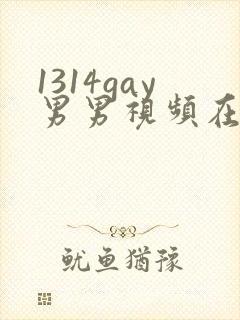 1314gay男男视频在线观看