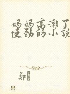 妈妈高潮了嗯啊使劲的小说封面