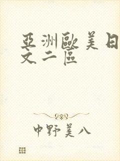 亚洲欧美日韩中文二区
