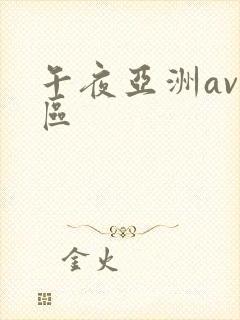 午夜亚洲av一区