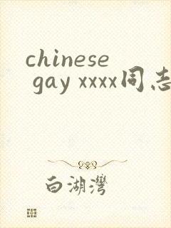 chinese gay xxxx同志
