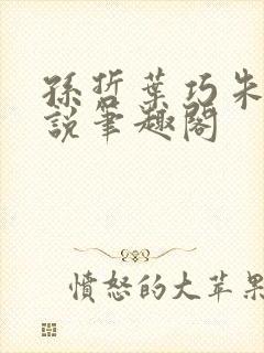 孙哲叶巧朱颜小说笔趣阁
