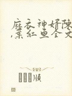 麻衣神婿陈黄皮,叶红鱼全文免费txt下载