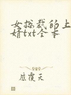 女总裁的上门女婿txt全本