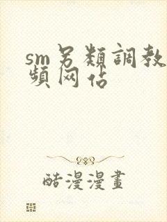 sm另类调教视频网站