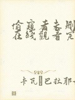 偷窥者未删减版在线观看完整版