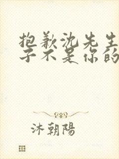 抱歉沈先生,孩子不是你的第二部封面