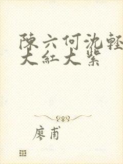 陈六何沈轻舞 大红大紫