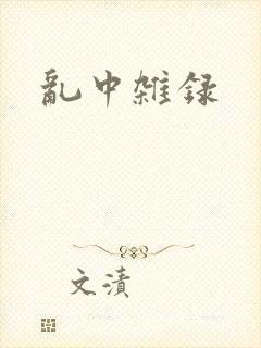 乱中杂录