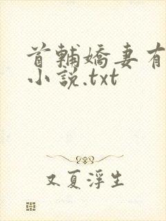 首辅娇妻有空间小说.txt