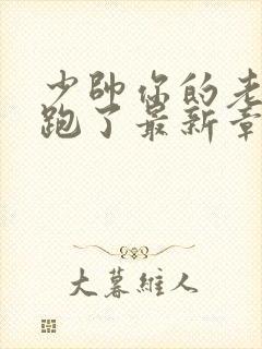 少帅你的老婆又跑了最新章节免费阅读封面