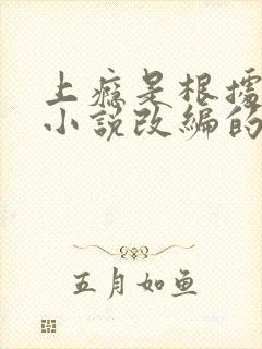 上瘾是根据哪部小说改编的封面