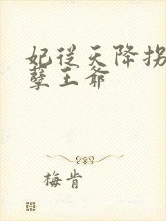 妃从天降拐个妖孽王爷