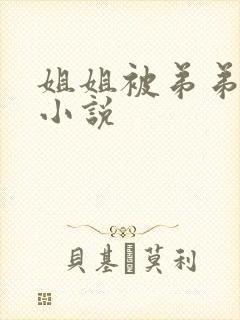 姐姐被弟弟操的小说