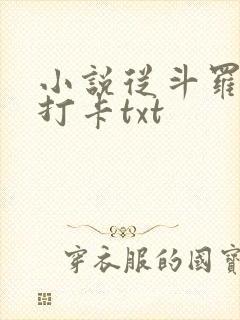 小说从斗罗开始打卡txt
