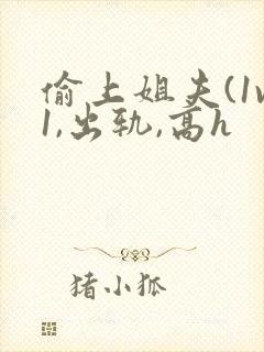 偷上姐夫(1v1,出轨,高h