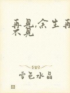 再见,余生再也不见封面