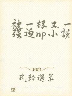 被一根又一根h强迫np小说