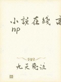小说在线 高h np