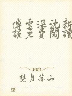 傅云深沈新桐小说免费阅读