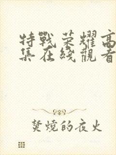 特战荣耀高清全集在线观看