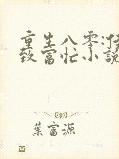 重生八零:佳妻致富忙小说
