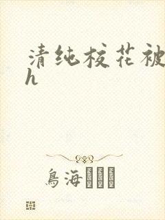 清纯校花被调教h