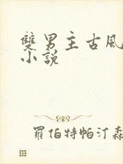 双男主古风言情小说