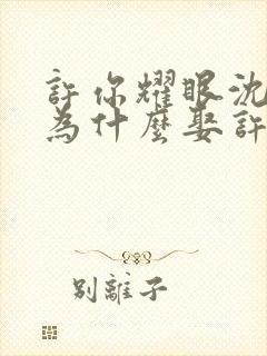 许你耀眼沈皓明为什么娶许妍封面
