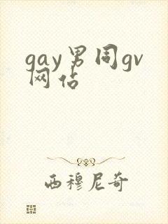 gay男同gv网站