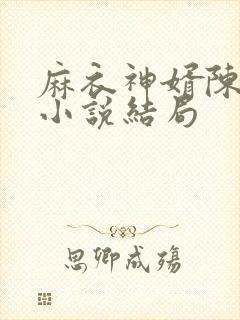 麻衣神婿陈黄皮小说结局封面