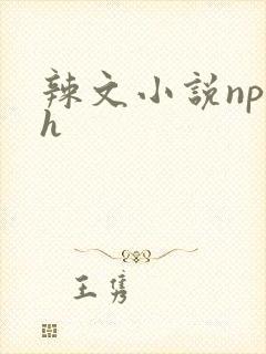 辣文小说np高h