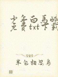 少年白马醉春风免费txt下载