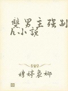 双男主强制爱高h小说