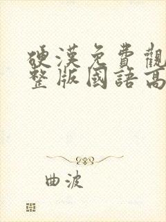 硬汉免费观看完整版国语高清