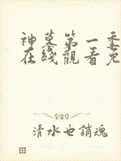 神墓第一季动漫在线观看免费高清完整版