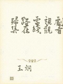 归路电视剧40集在线观看免费高清