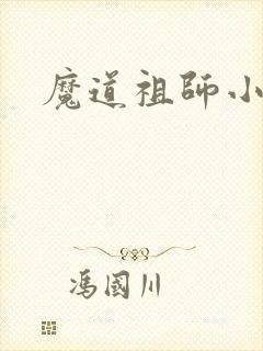 魔道祖师小说