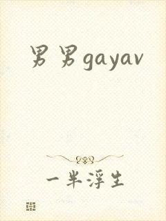 男男gayav封面