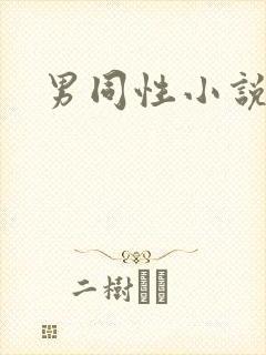 男同性小说h