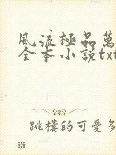 风流极品万岁爷全本小说txt下载